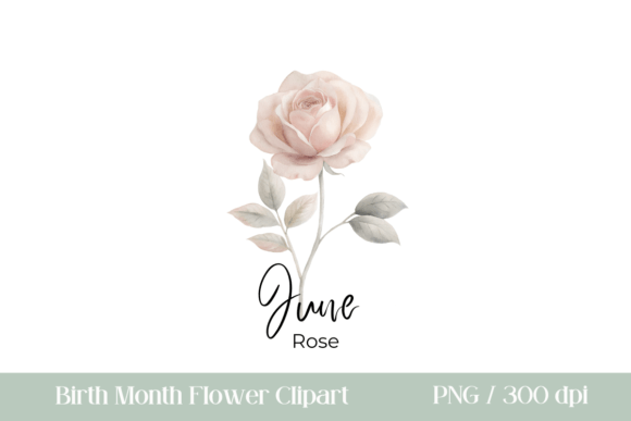 Download Birth Month Flower Clipart PNG Rose - Birth month flower clipart Collection