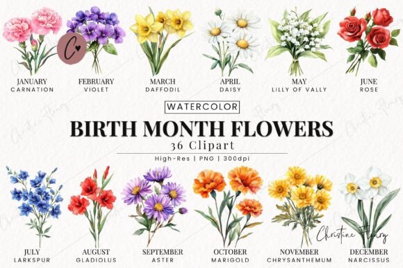 Download Birth Month Flower Clipart Bundle - Birth month flower clipart Collection