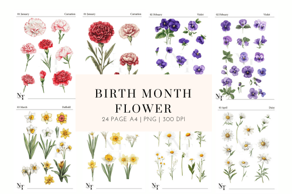 Download Birth Month Flower Clipart PNG - Birth month flower clipart Collection